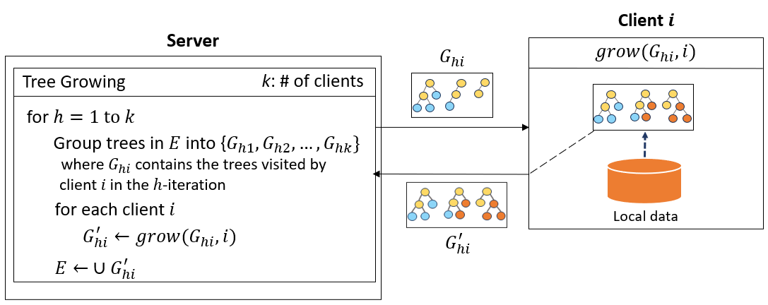 Training process for the privacy-preserving federated random forest model