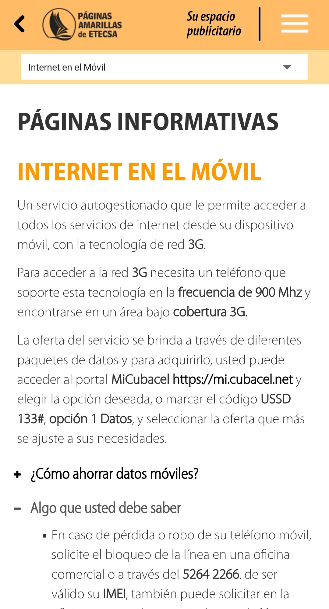 Mobile Internet